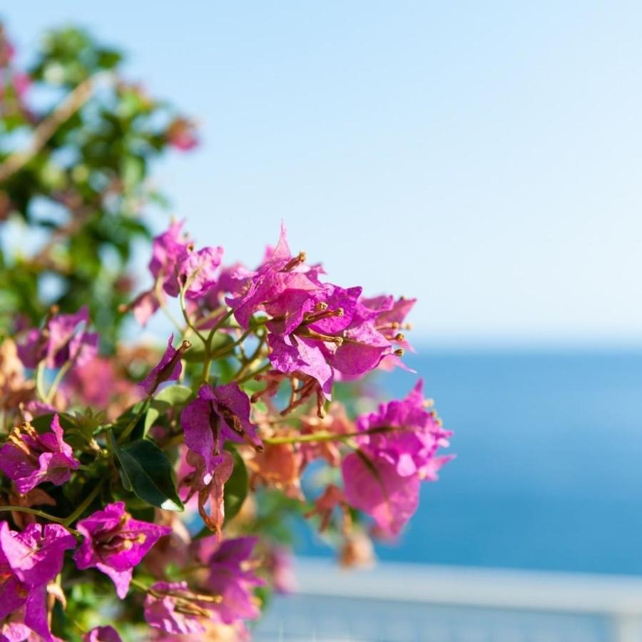 Bed and Breakfast Made In Sicily Santa Tecla Ачиреале Экстерьер фото